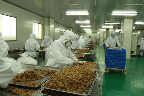 太和農(nóng)產(chǎn)品加工產(chǎn)業(yè)園入選省行動(dòng)計(jì)劃，聚焦食用農(nóng)產(chǎn)品初加工高質(zhì)量發(fā)展