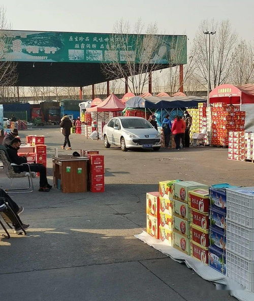 做水果生意，必須知道的5大水果一級批發市場與食用農產品初加工要點