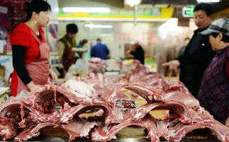 山東強化源頭管控，全面檢查豬肉制品生產與農產品初加工環節